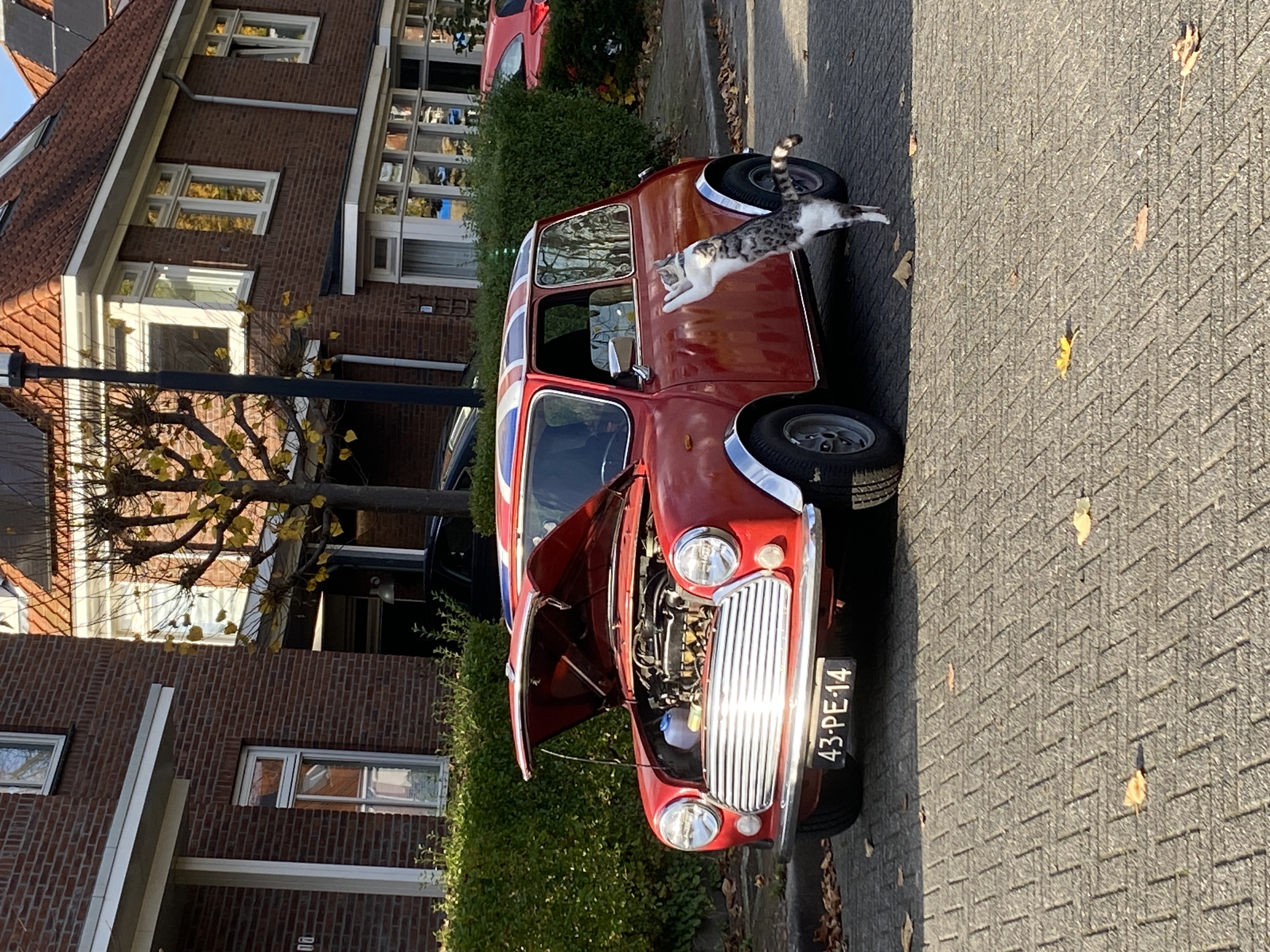 1977 Classic Mini 1100 Special