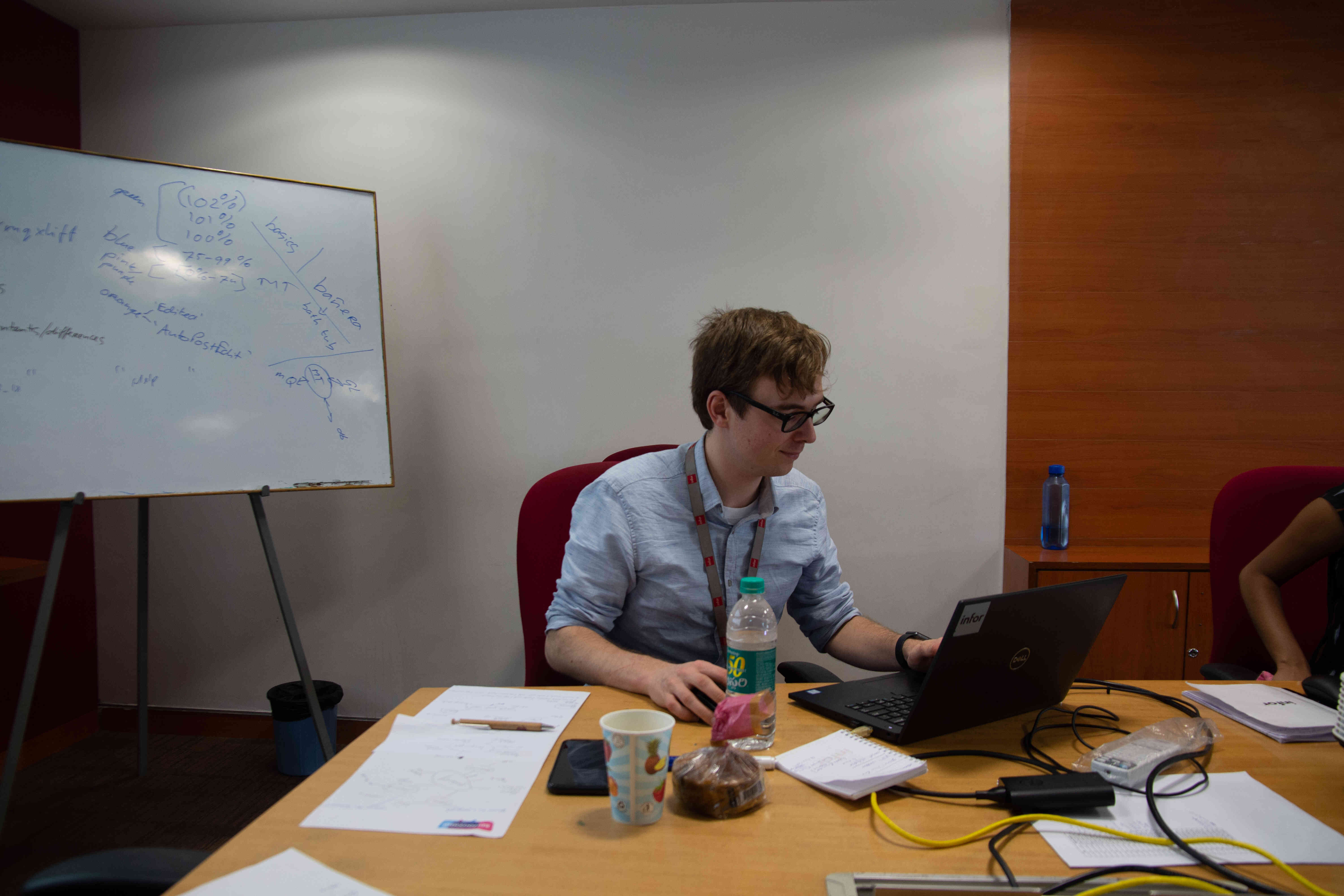 Professional Journey